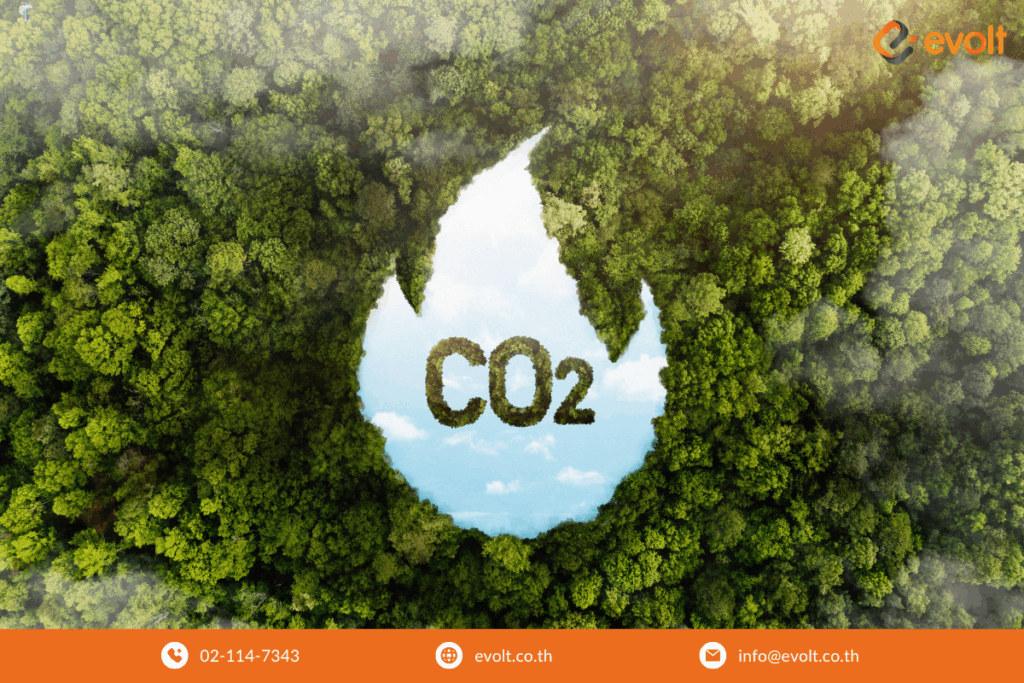 เทรนด์สิ่งแวดล้อม Sustainability และความยั่งยืน