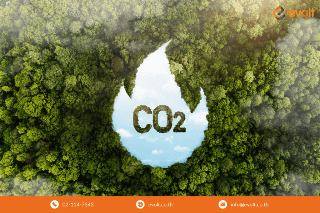 เทรนด์สิ่งแวดล้อม Sustainability และความยั่งยืน
